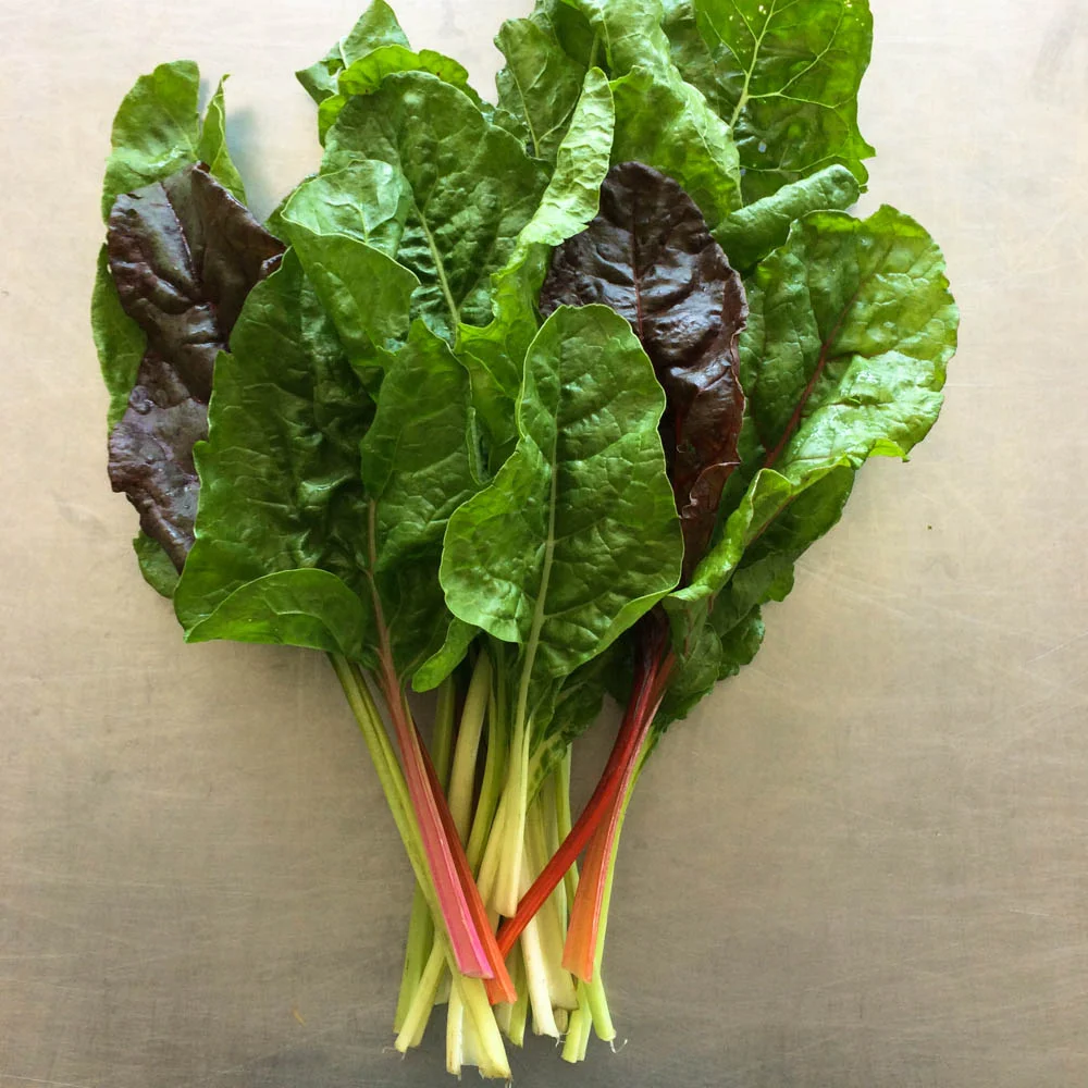 Chard_Rainbow.jpg