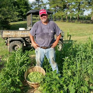 06-19-2016+Green+Beans.jpeg