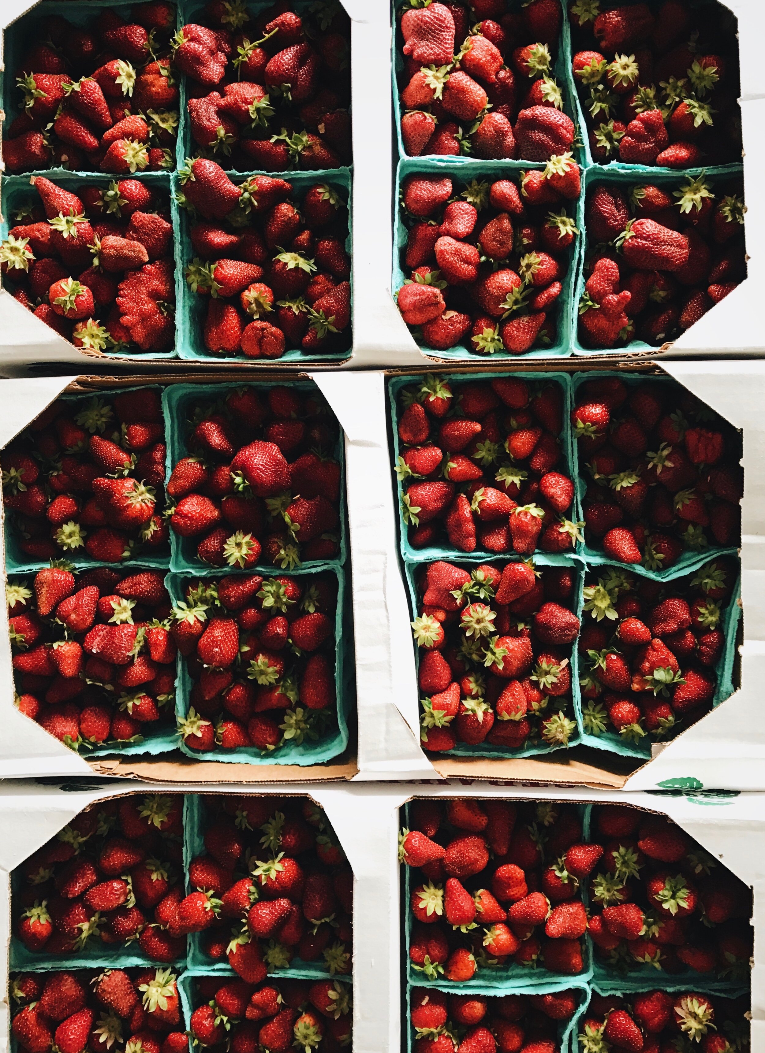 DA0C38F1-EE0D-4D4A-BDB4-B6E92E28119D (1).JPG