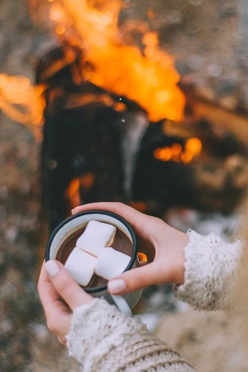 Fireside Stories with Friends of Mill Ridge Park