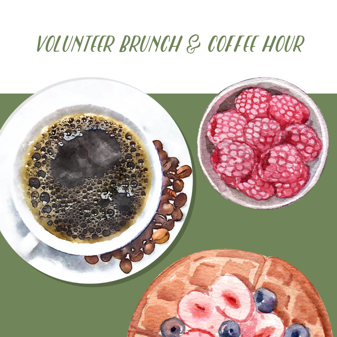 Volunteer Brunch and Coffee Hour