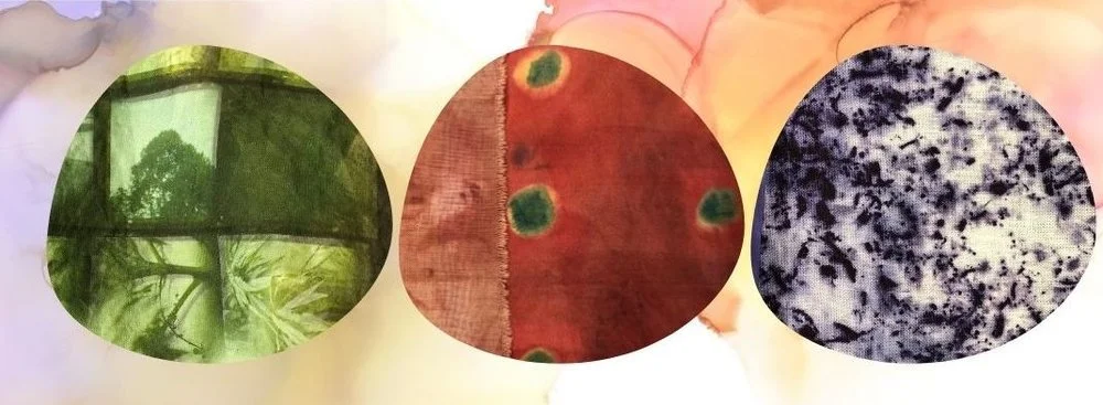 Bugs, Leaves, Flowers, Bark: A Textile Workshop In Natural Dyes with Friends of Mill Ridge Park