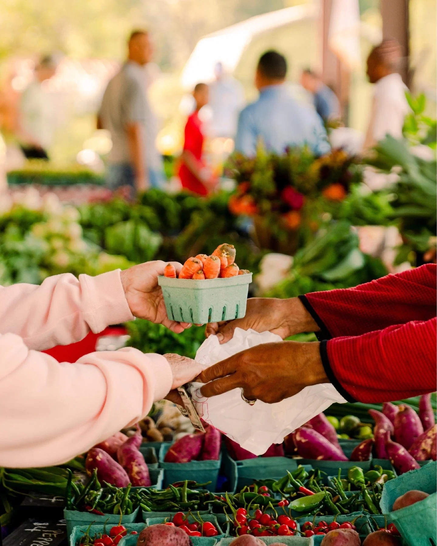 Only 4 Market Days Left This Season.
As the season comes to a close, there are just a few Saturdays left to visit the Growing Together Farmers Market. 
The market is a gathering of neighbors, a space where fresh, affordable food connects people acr