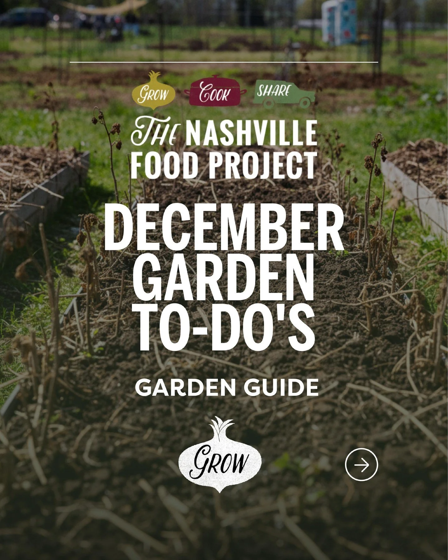 Winter is a season of quiet care. When the holidays feel busy, the garden offers a place to pause, breathe, and tend to what will grow in the months ahead. Here are a few gentle December to-dos to help your garden rest well and stay protected through