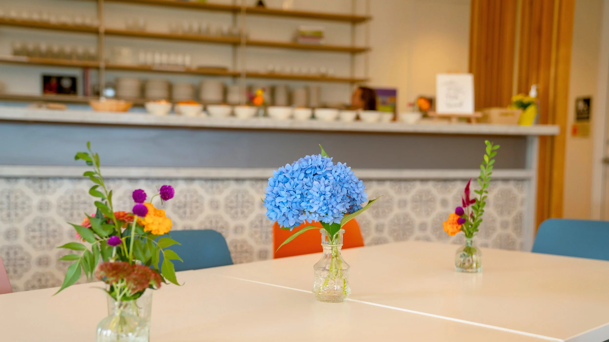 Love in Action: A Community Open House at The Nashville Food Project