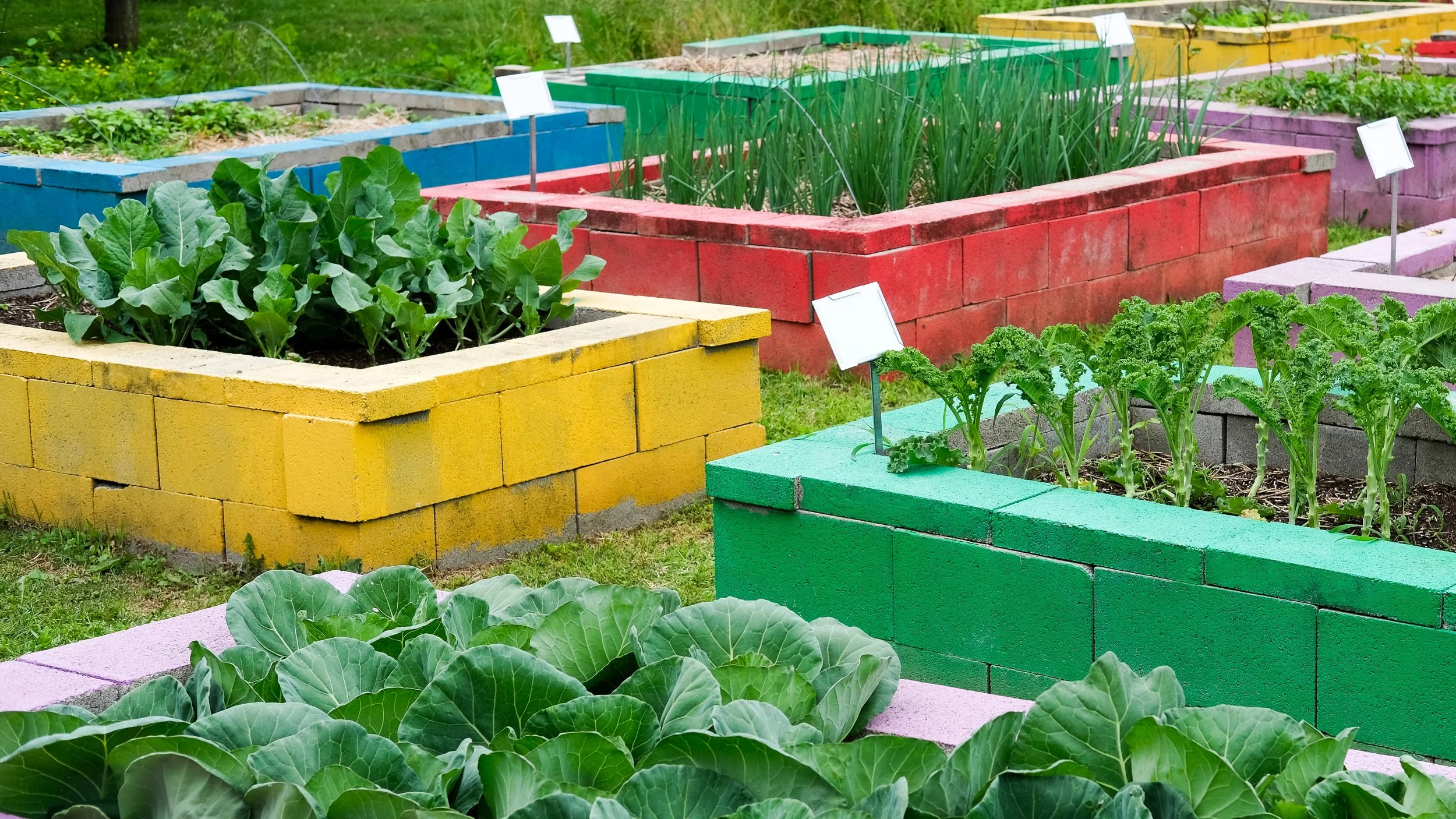 Grow With Us: Community Garden Beds Now Available
