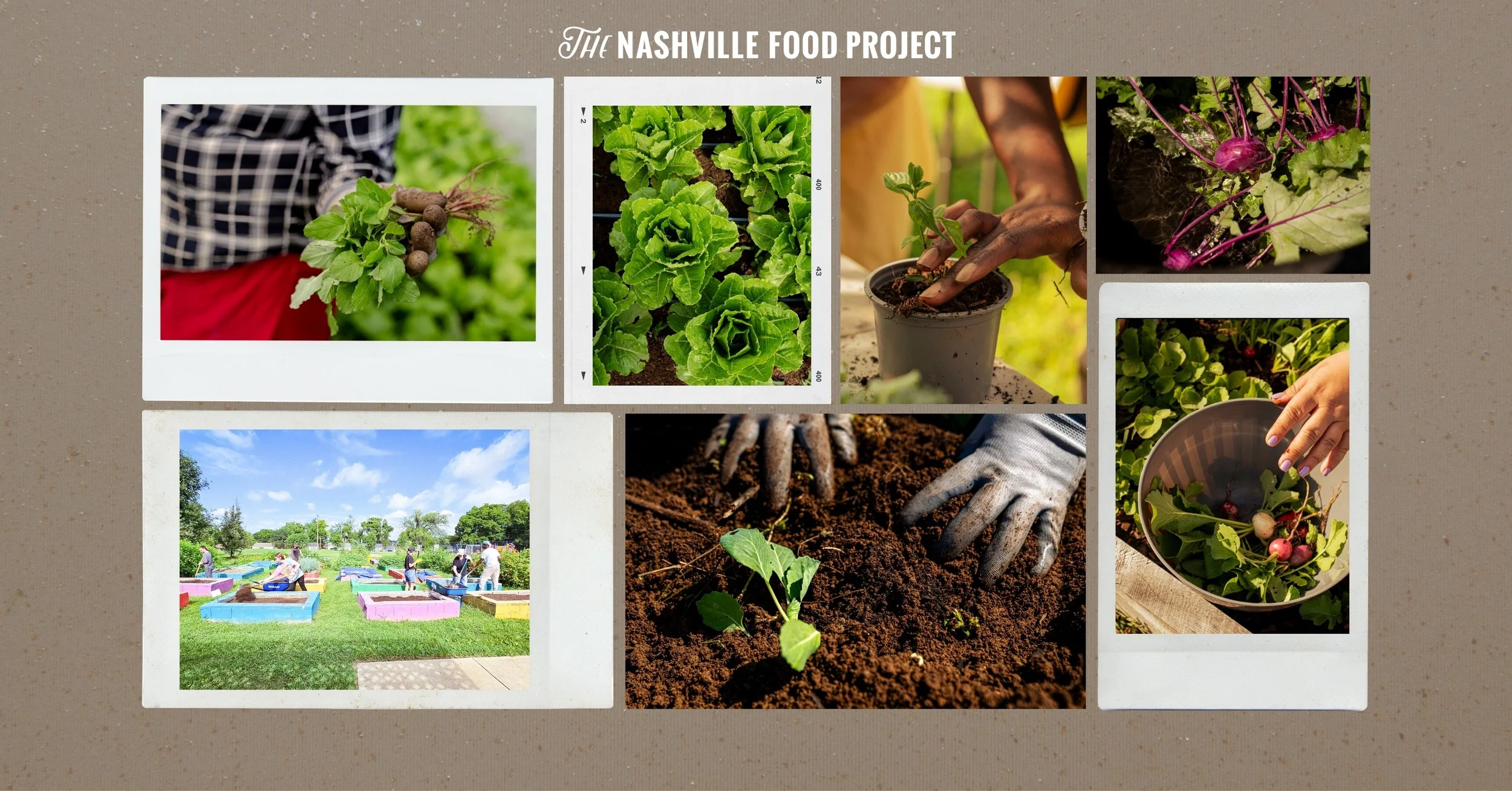 National Agriculture Day at The Nashville Food Project