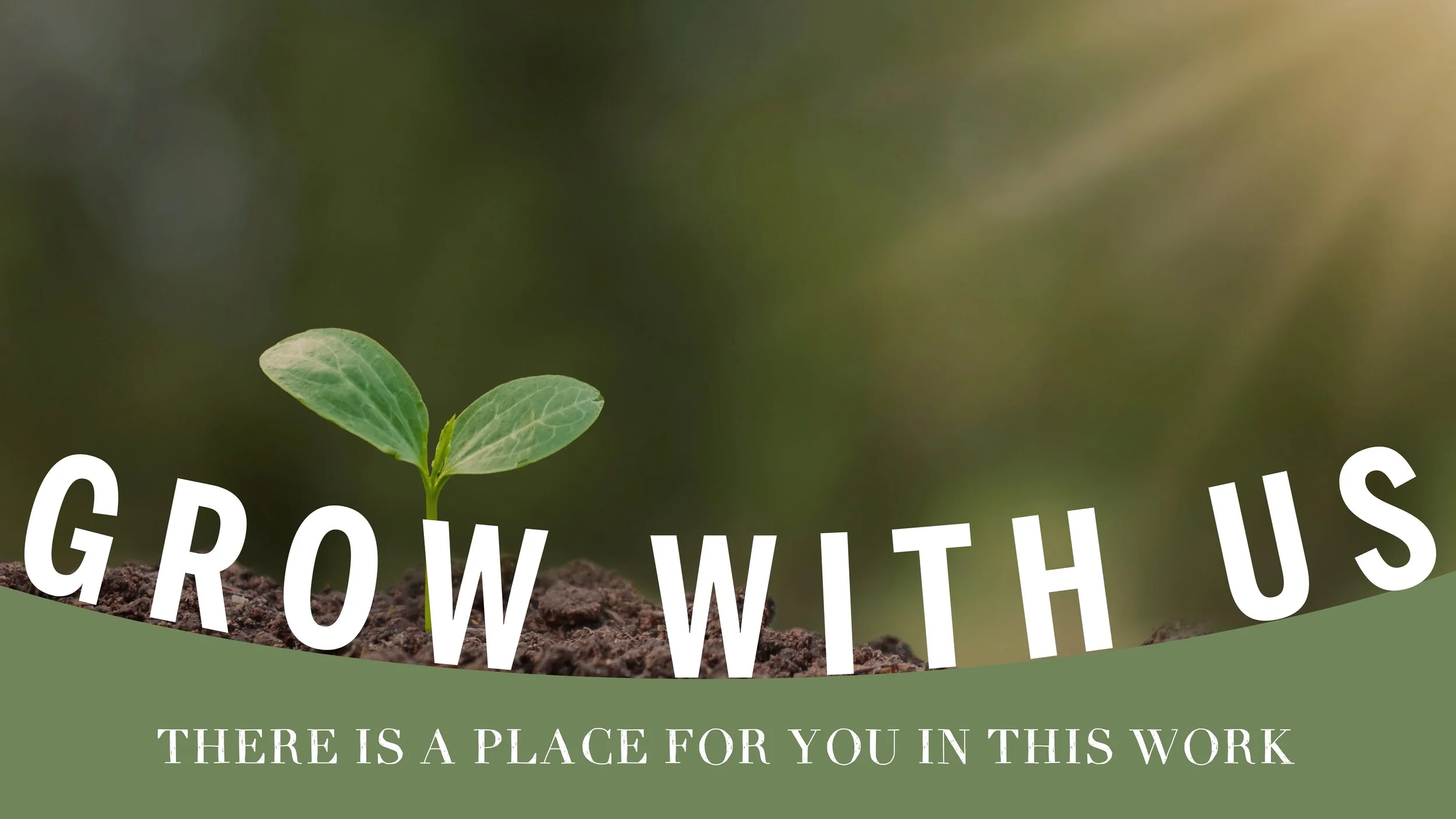 A Community Centered on Service