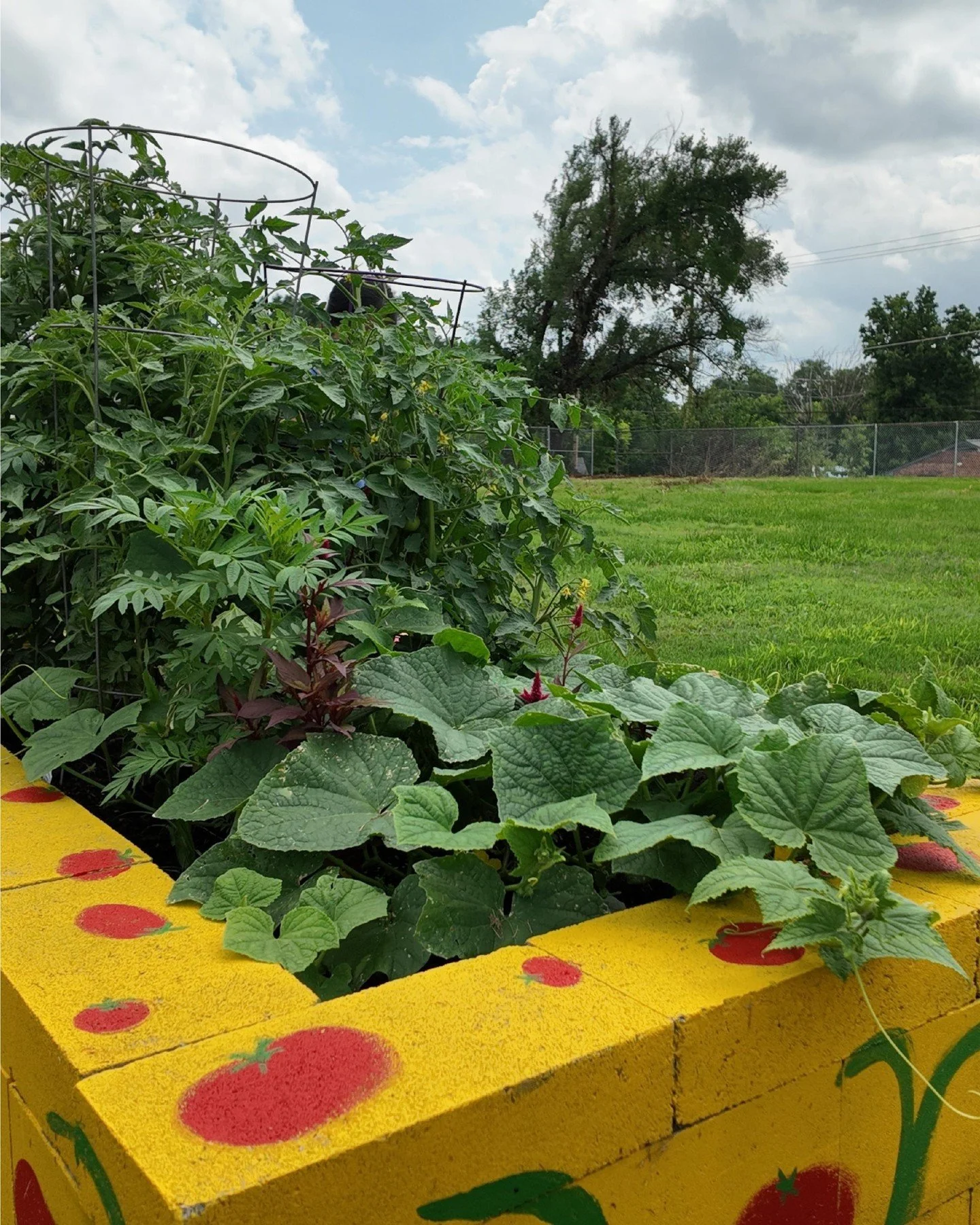 The season moves quickly. 🌱💛

A little planning now can mean a bountiful harvest later. Swipe to see key planting deadlines for summer crops and make the most of the growing season.