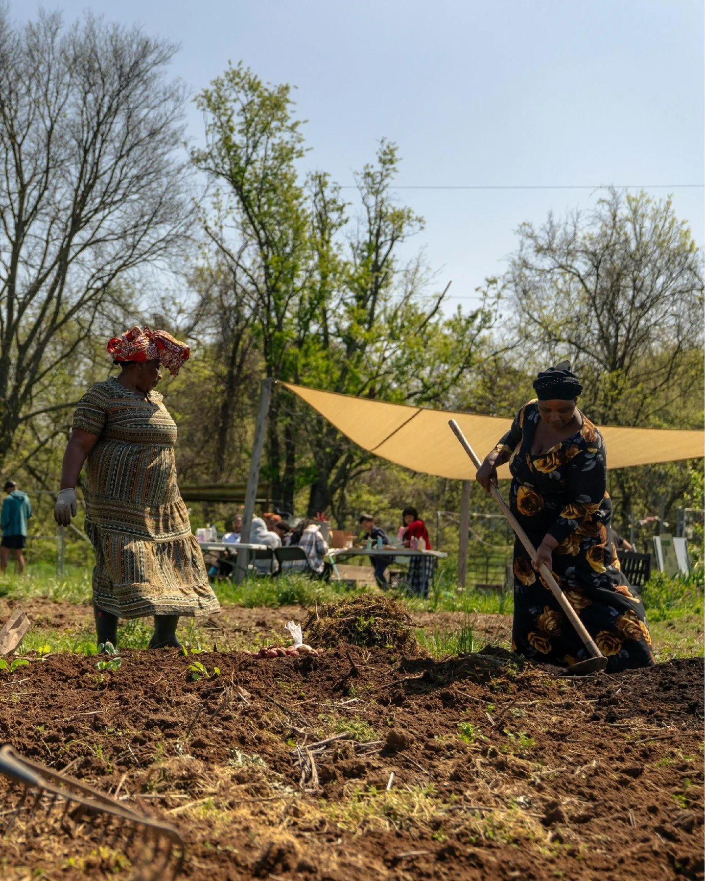 McGruder and Mill Ridge Community Garden plots are full for the season. Every plot has been claimed, and we are grateful for the neighbors who will tend these spaces with care in the months ahead.

Community gardens are more than places to grow food.