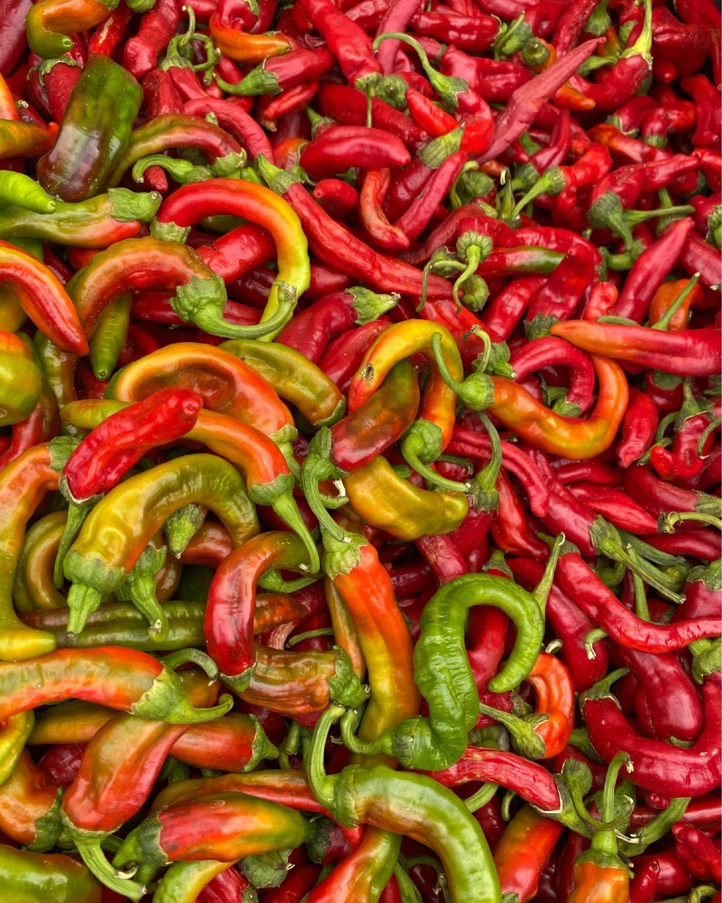Today is market day.

Stop by the Growing Together Farmers Market this morning for fresh, locally grown produce and a Saturday rooted in community.

We're here from 9 a.m. to 12 p.m. at Christ Lutheran Church. Come early before the morning harvest se
