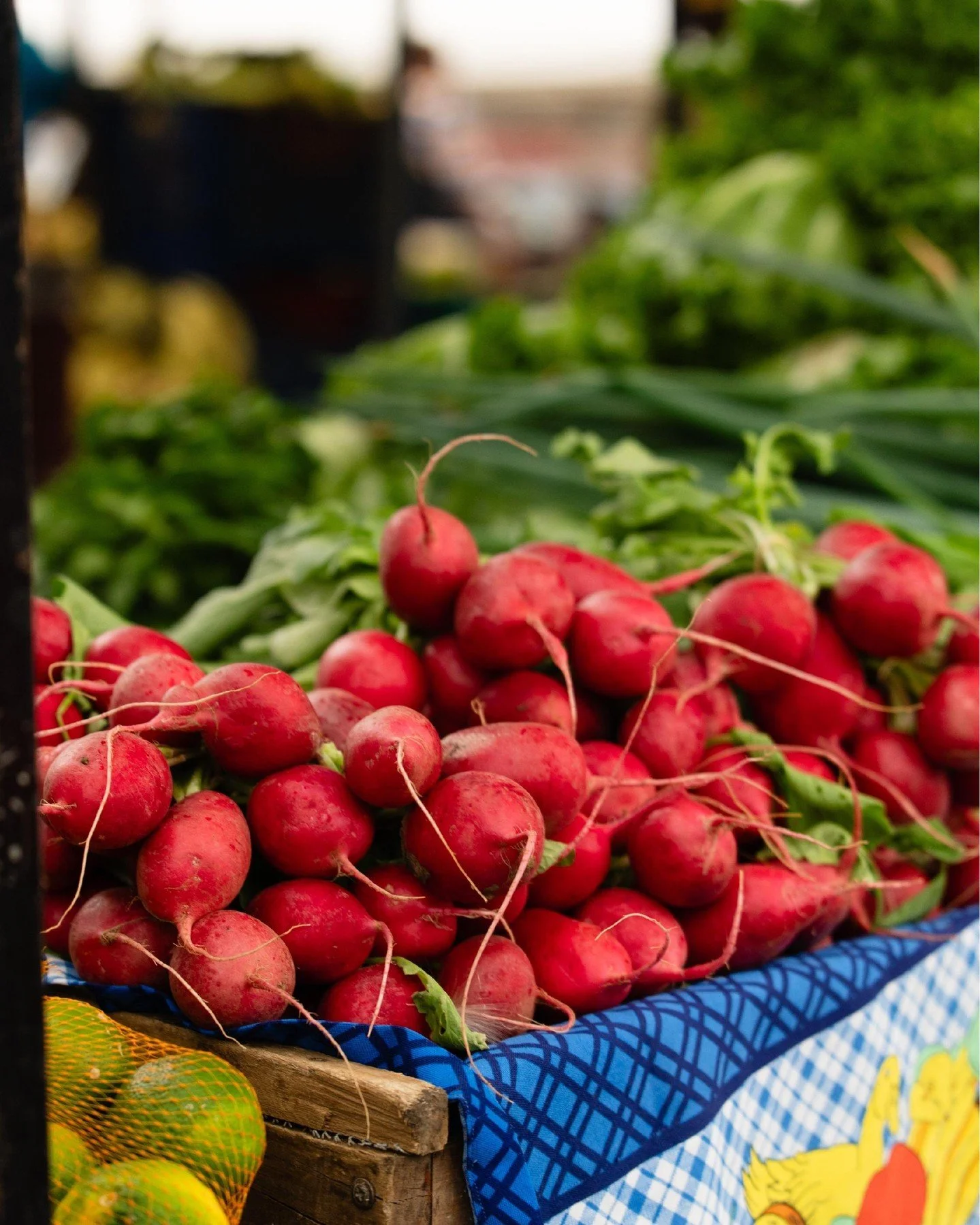 See you at the market today.

The Growing Together Farmers Market is open from 9 a.m. to 12 p.m. at Christ Lutheran Church, with fresh produce grown by local farmers.

Come early for the best selection.

Every Saturday, rain or shine.
9 a.m. to 12 p.