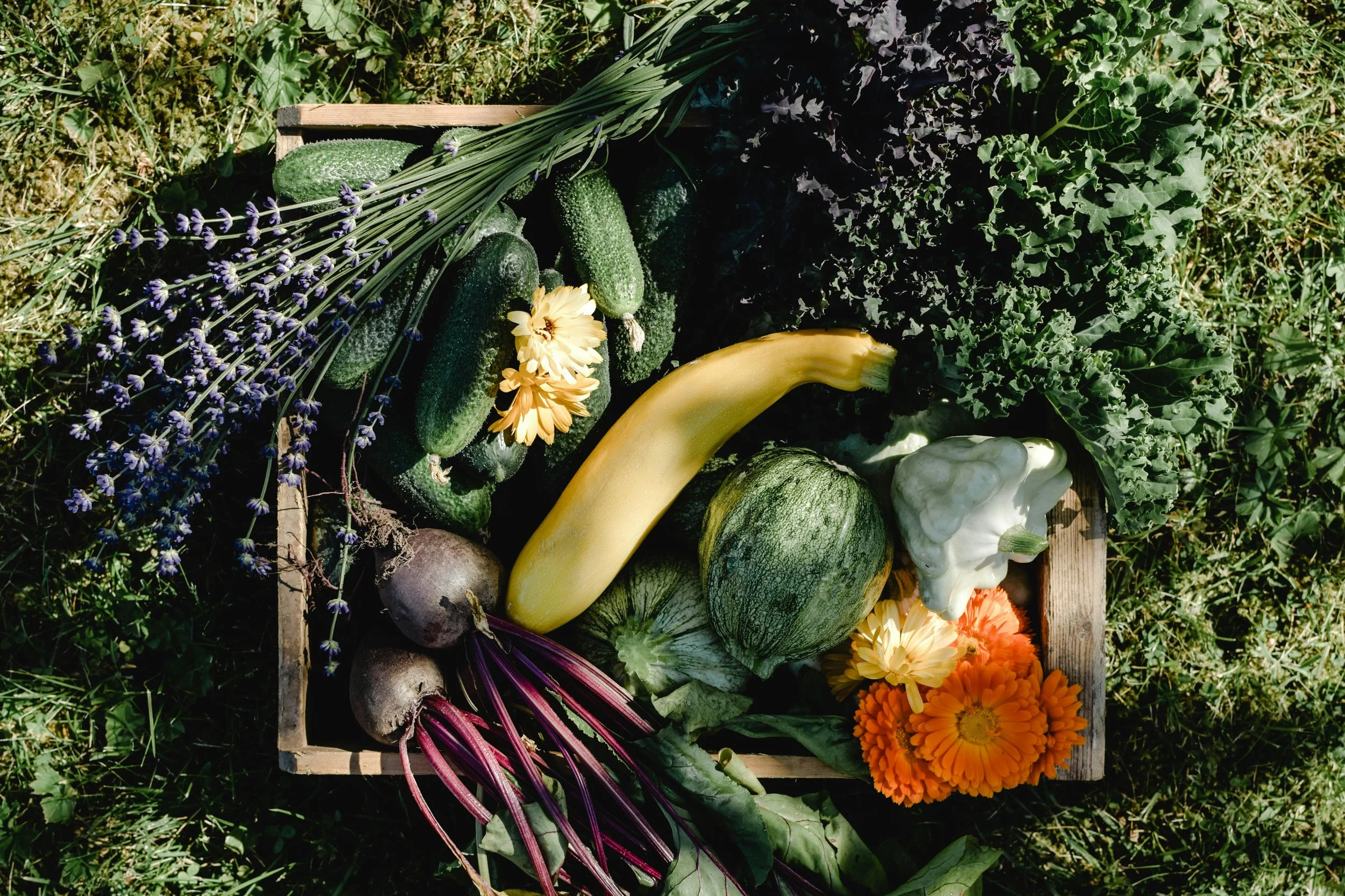 The Nashville Food Project