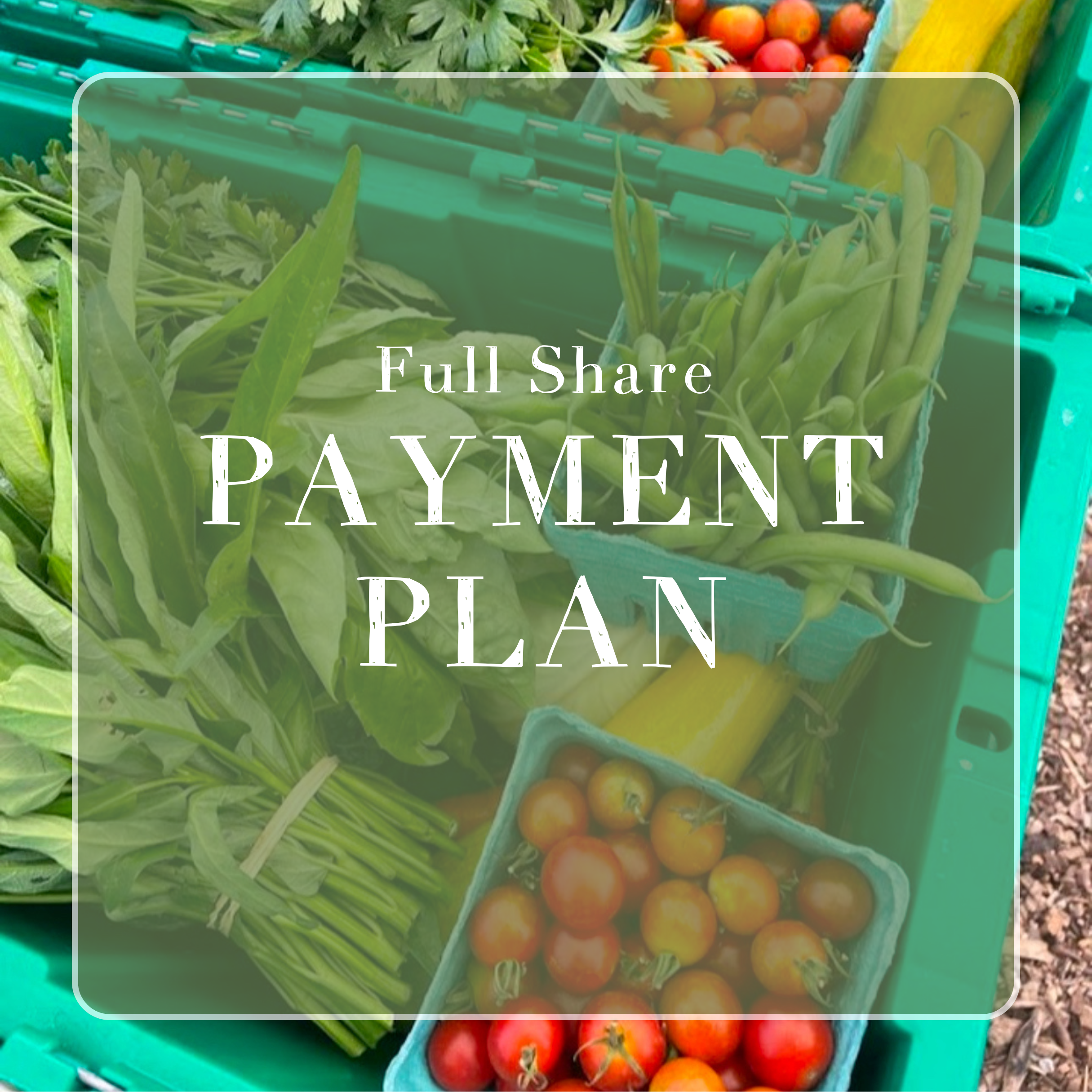 CSA Launch Square (1).png