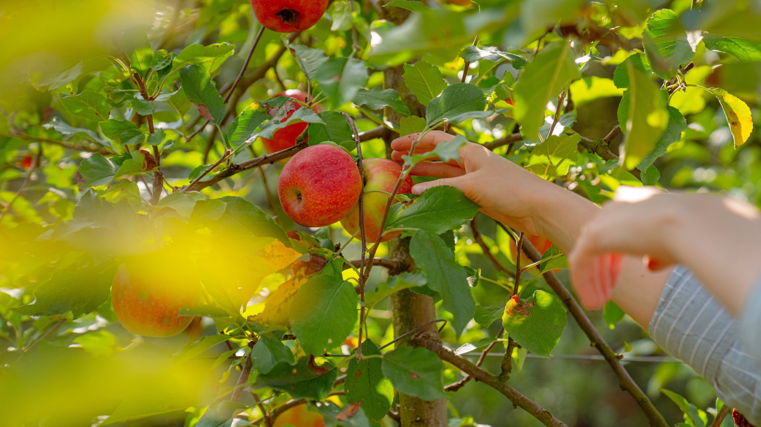 Website Blog headers.jpg