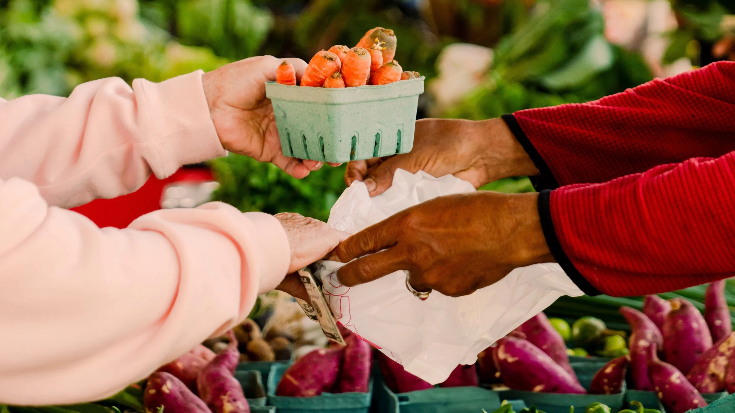 Impact Report Website (1).jpg