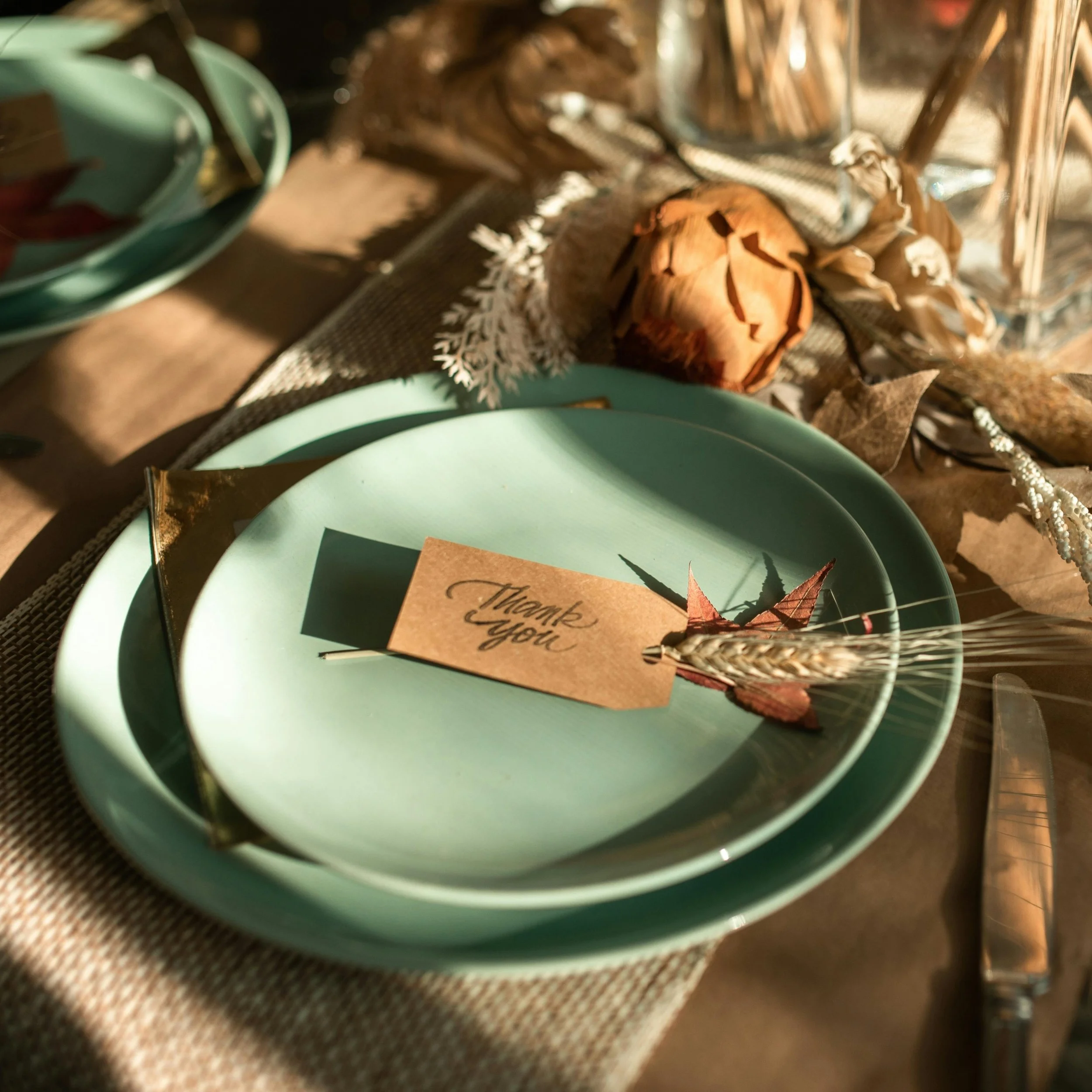 Give a Family Thanksgiving