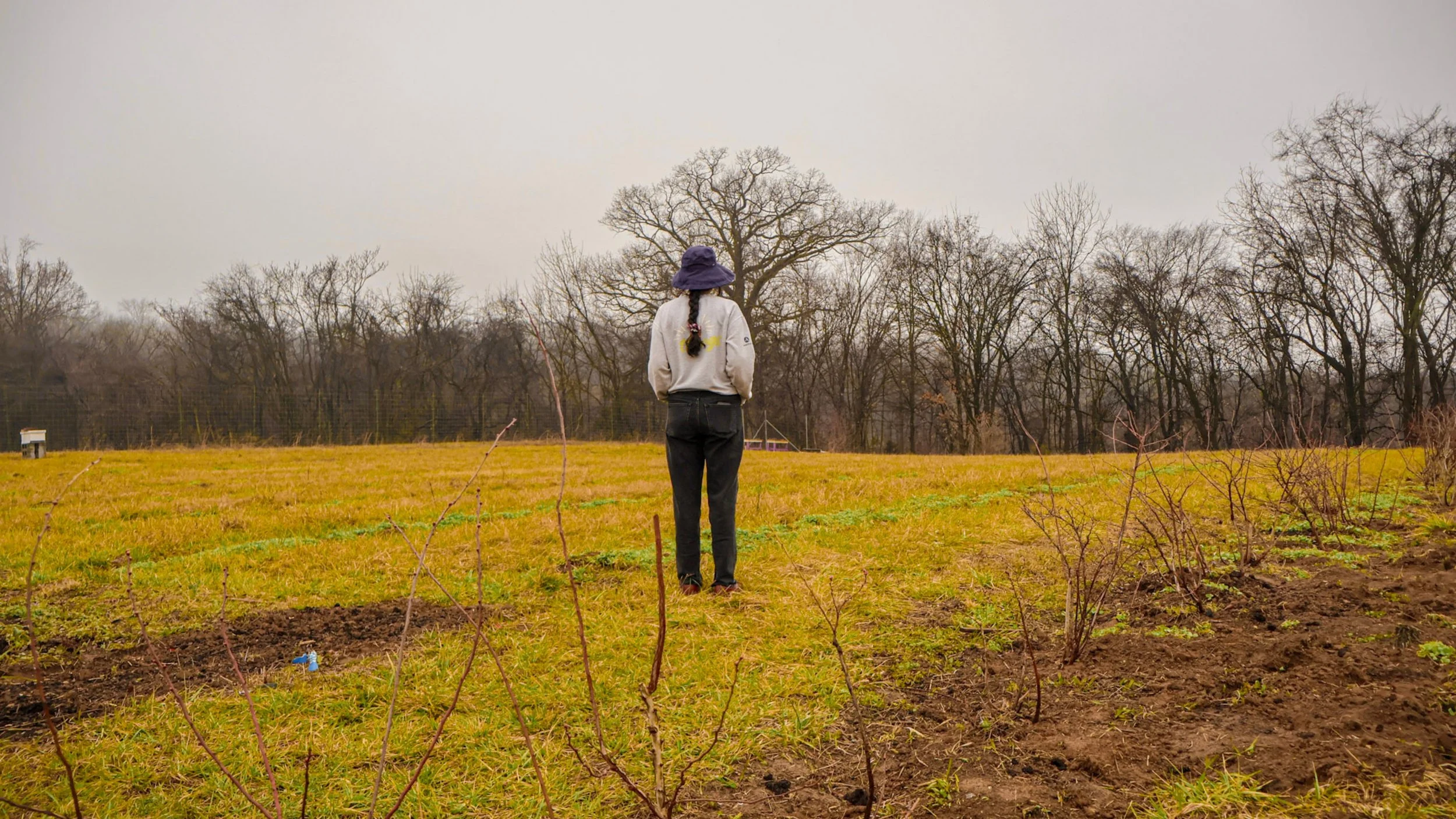 The Nashville Food Project Invites Community to Help Plant New Orchard at Mill Ridge Park