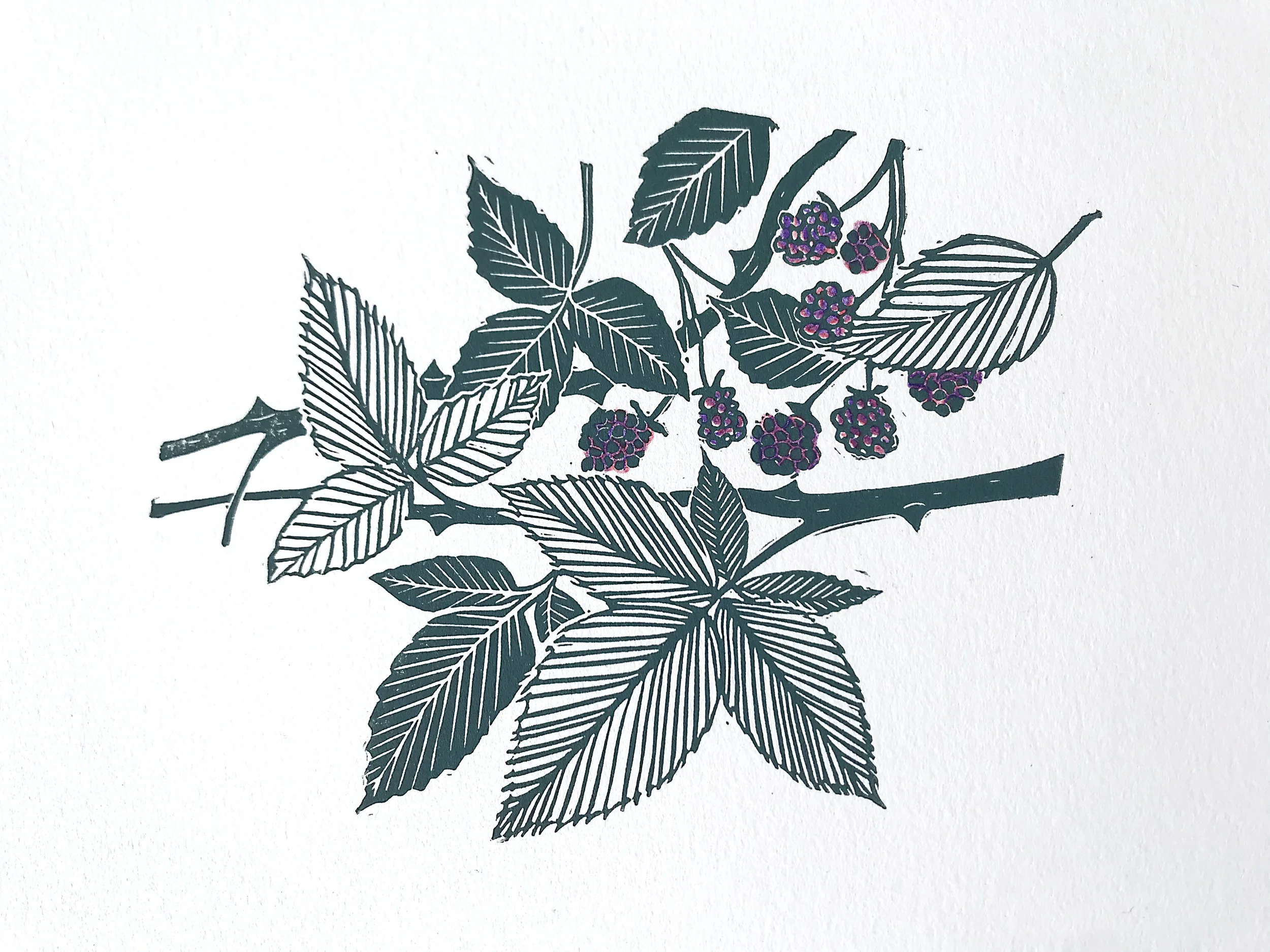 bramble close up.jpg