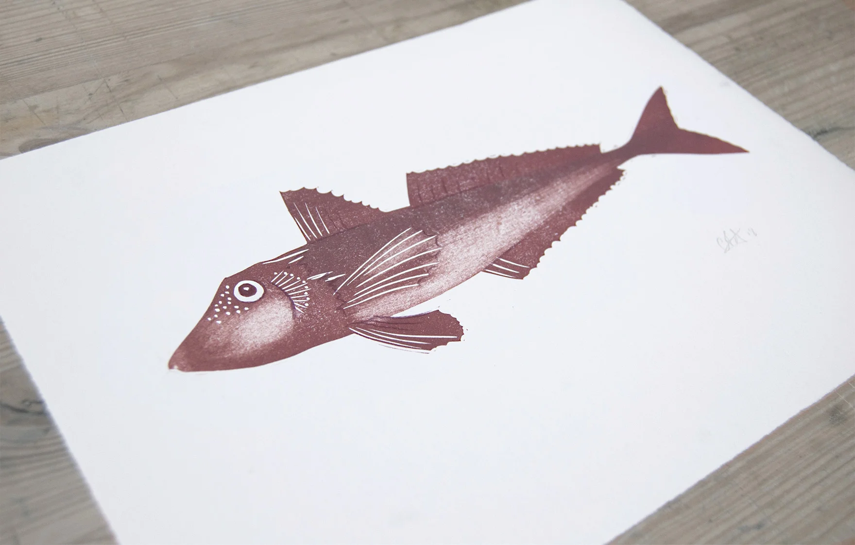 print gurnard angle.jpg