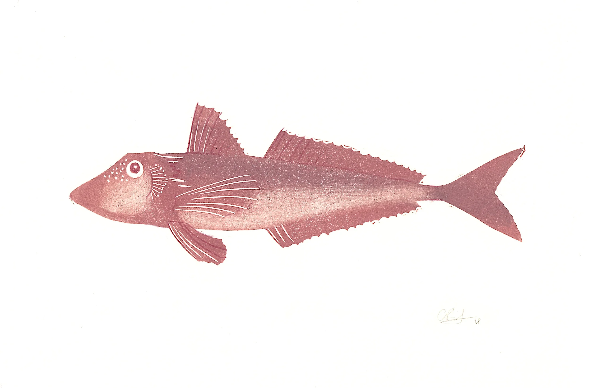 gurnard print for web.jpg