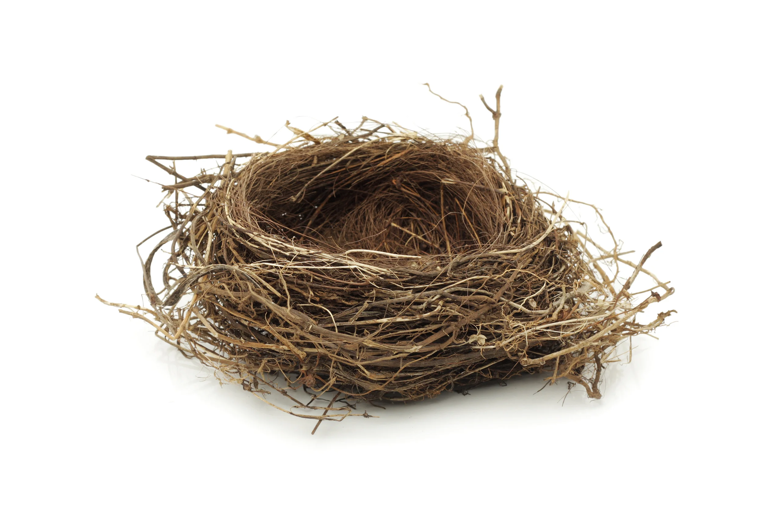Empty Nest Syndrome: How to Thrive When the Kids are Gone