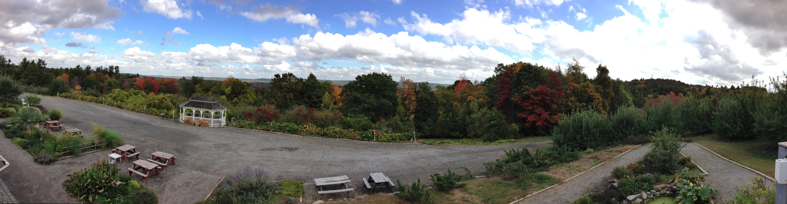 orchard-panorama.jpg