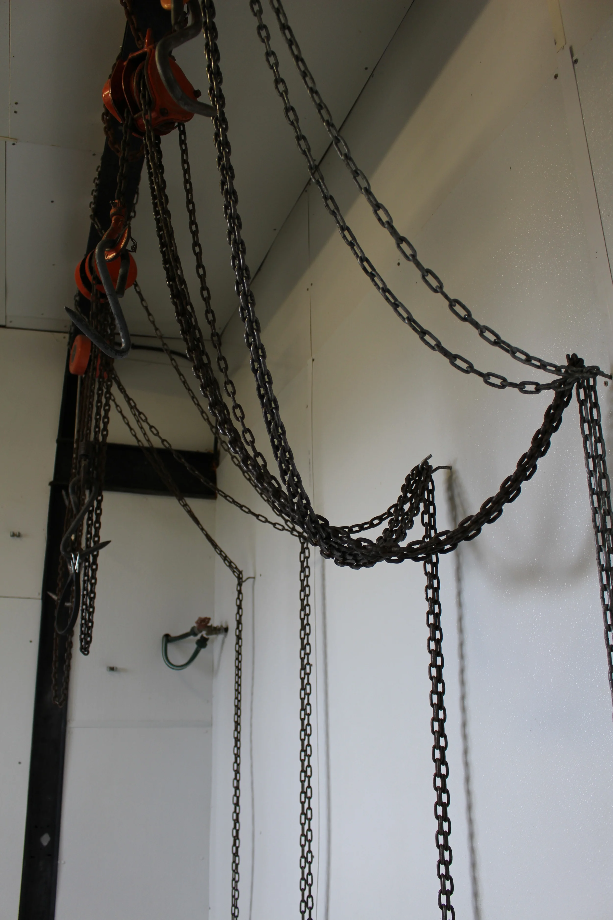 Skinning Room