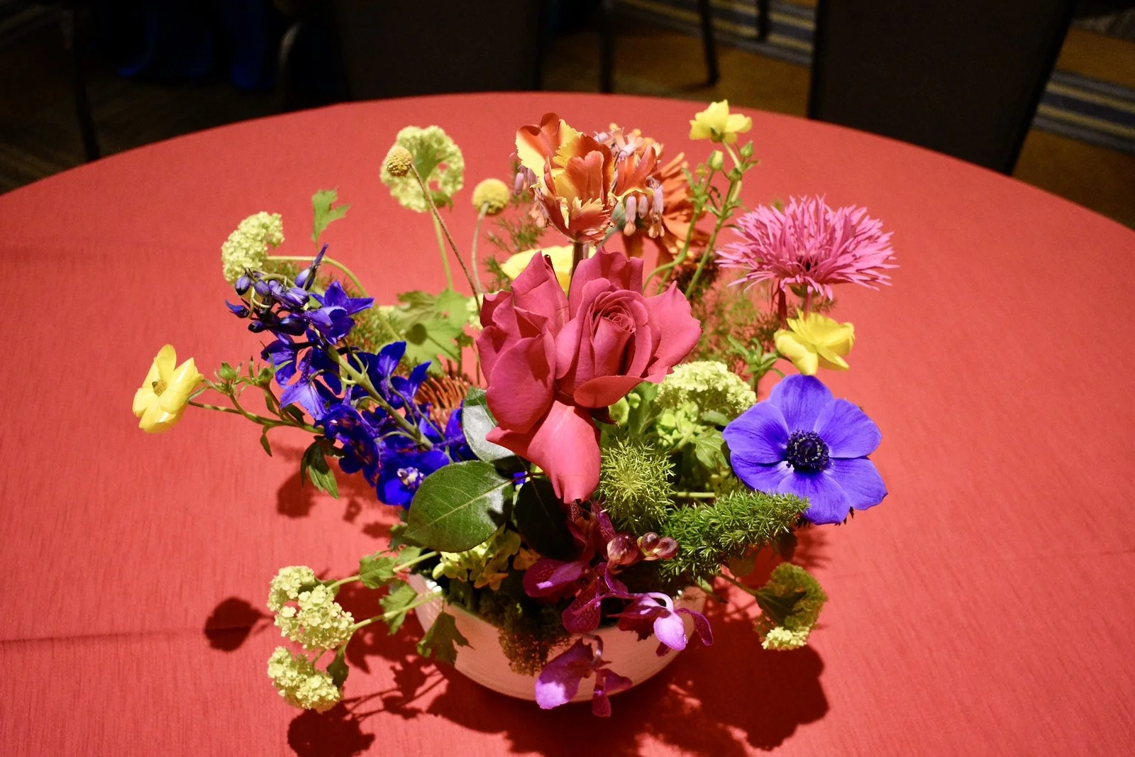 Copy of _DSC0495-X3.jpg