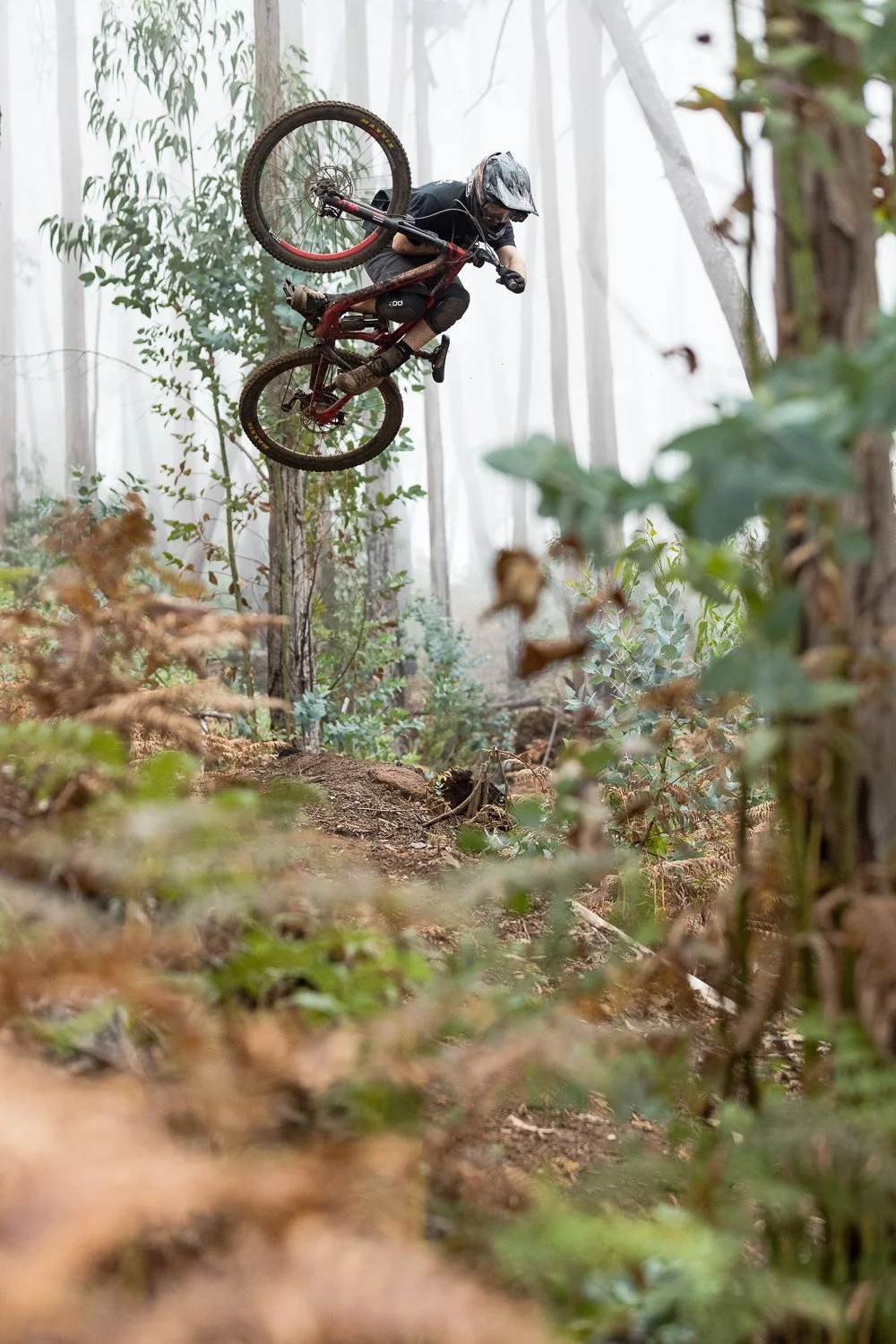 Madeira2018_LightningThunder_PhilipAlexandersson_11.jpg