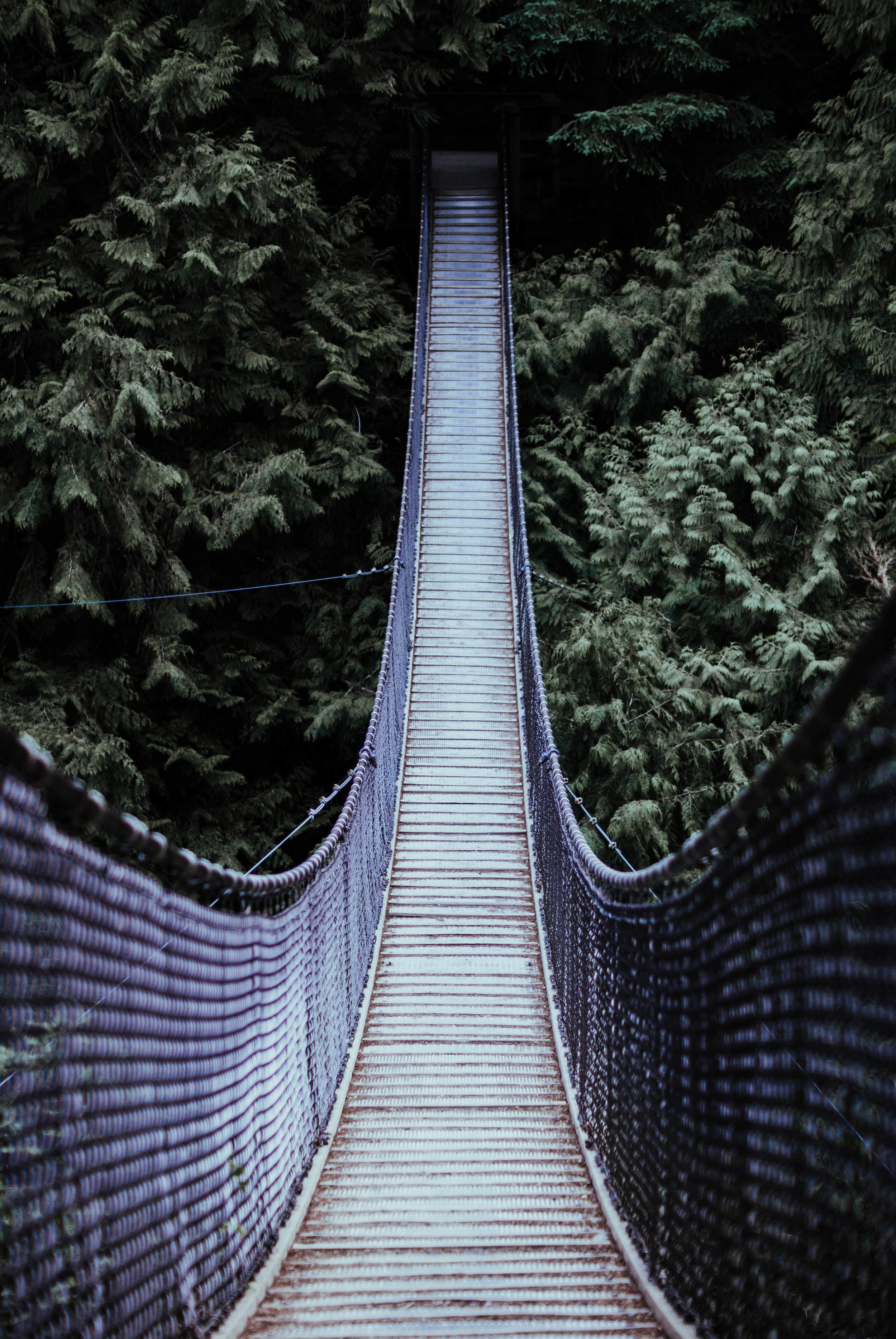 Location: Lynn Canyon Suspension Bridge, Vancouver, BC