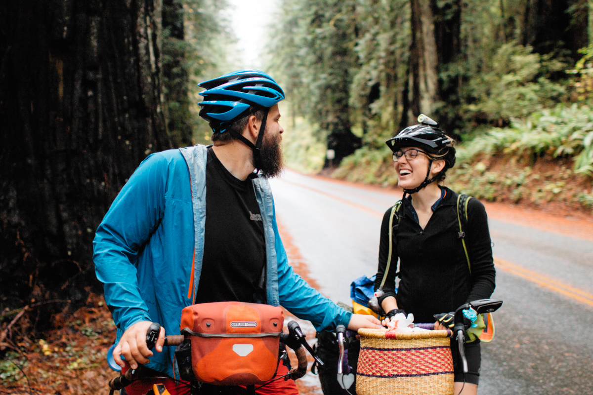 redwoods-05.jpg