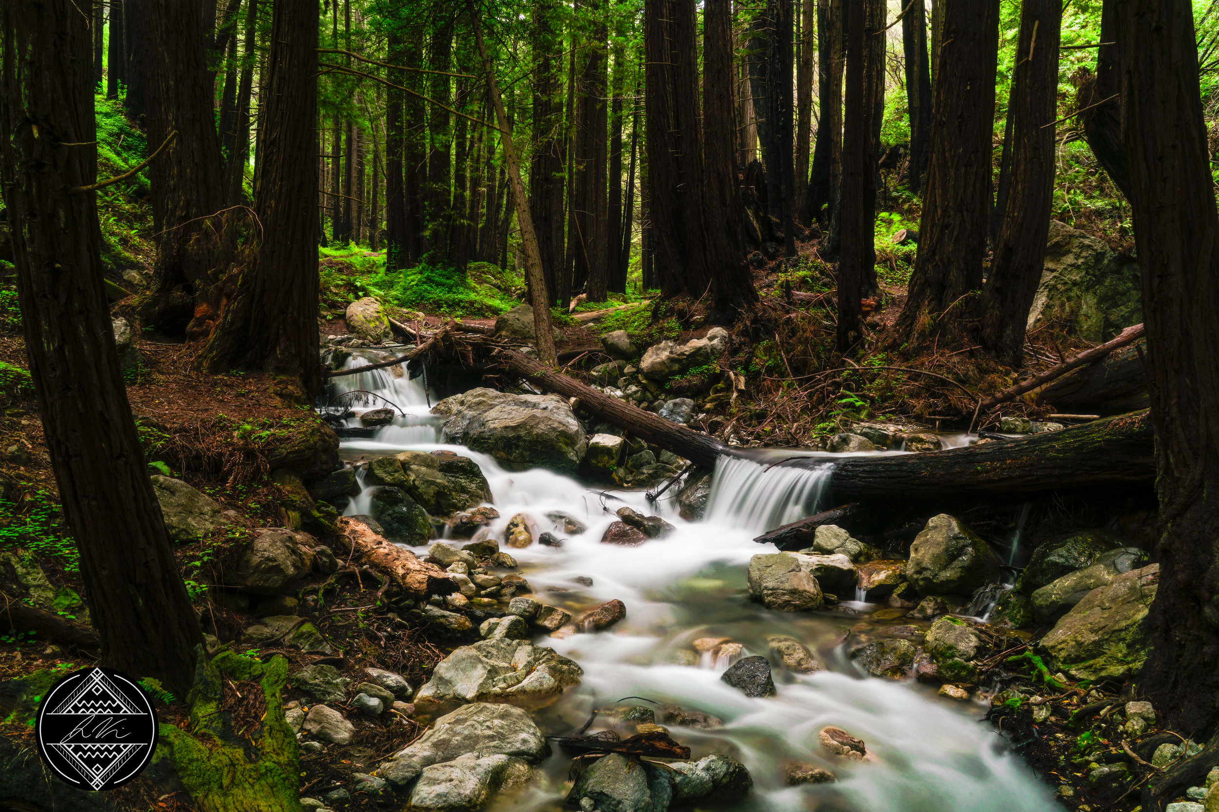 LIMEKILN_CREEK_JUNCTION.jpg