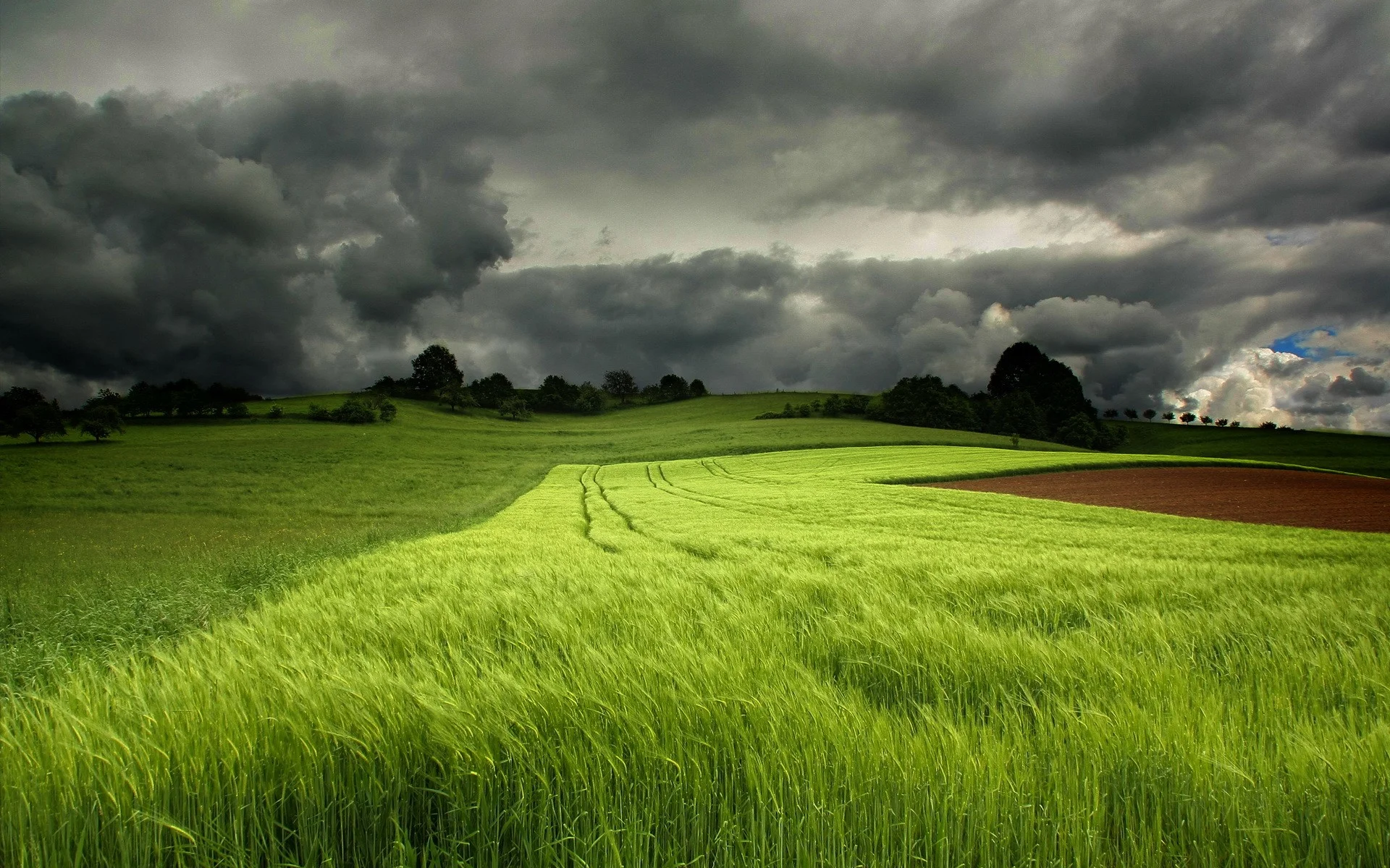 ws_Grass_Green_Field_&_Dark_Cloud_1920x1200.jpg