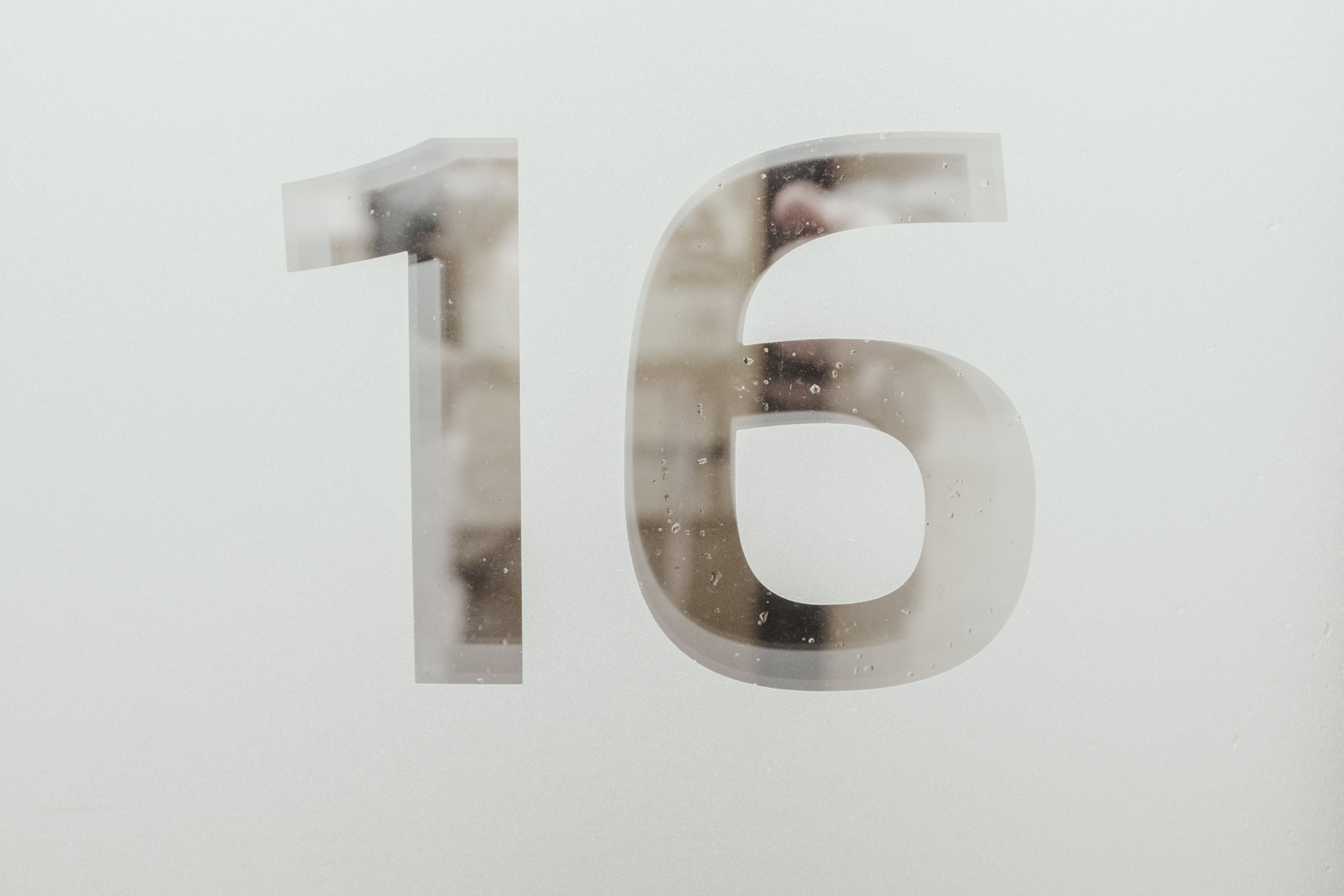 DAY 16 - GREEN GRASS