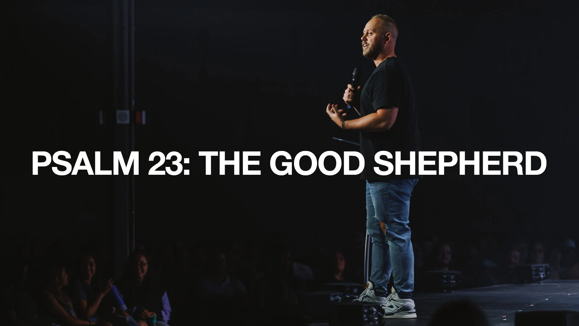 Summer in the Psalms - The Good Shepherd