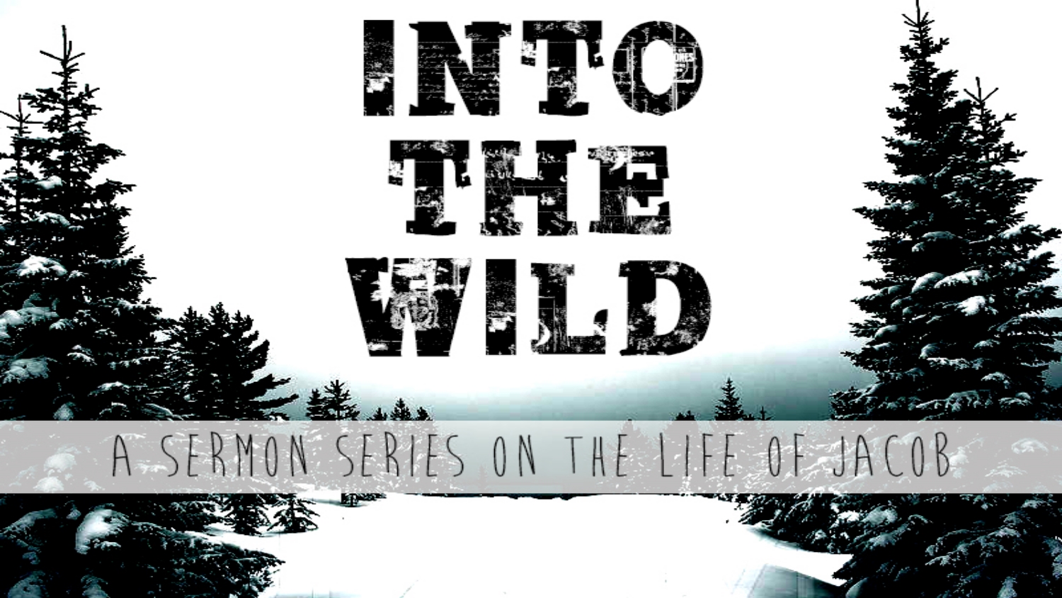 Into the Wild