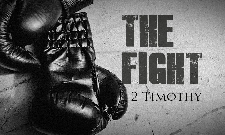 The Fight