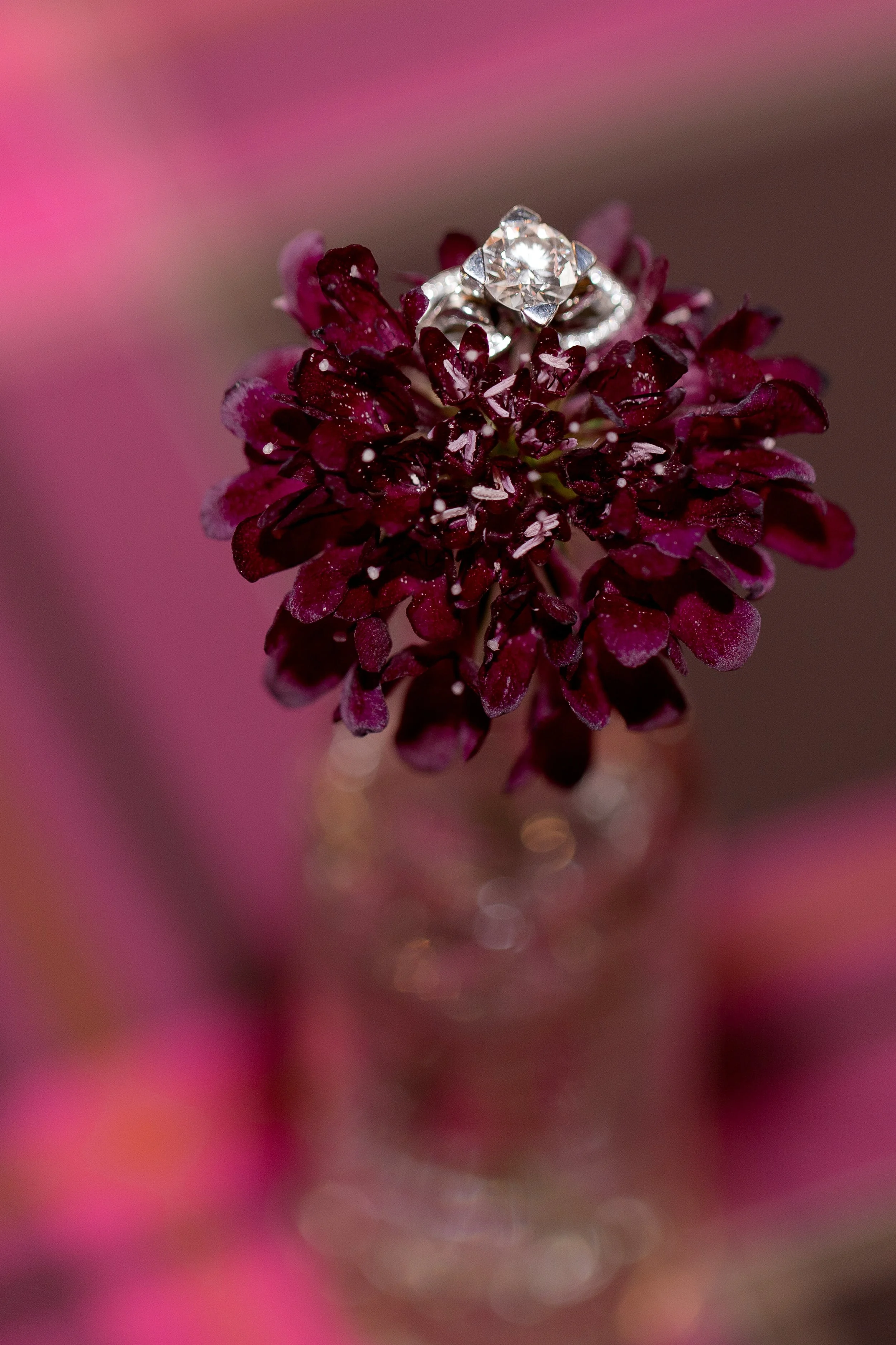 McPherson Events & Design (53).jpg