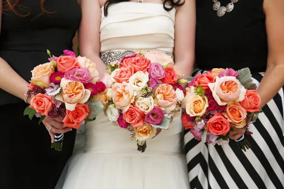 Kim Stahnke Photography