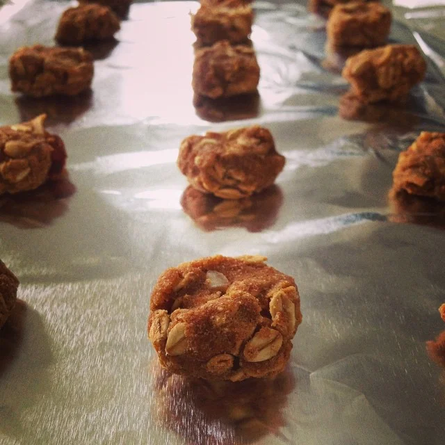 Protein puffs for pups! REMOVE CHOCOLATE!