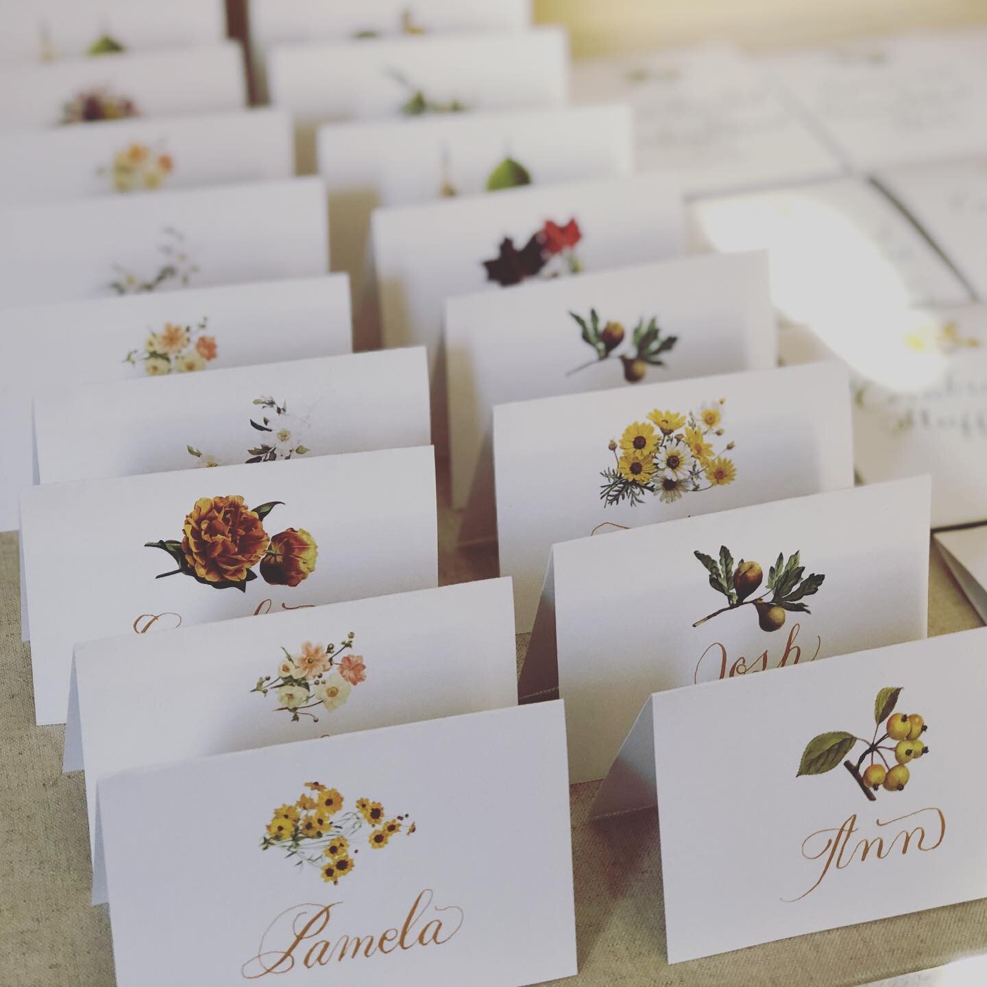 Really loving how these placecards I created from vintage botanicals came together. I&rsquo;m thinking of offering the placecard blanks as sets for sale. What do you think? #santabarbaracalligrapher