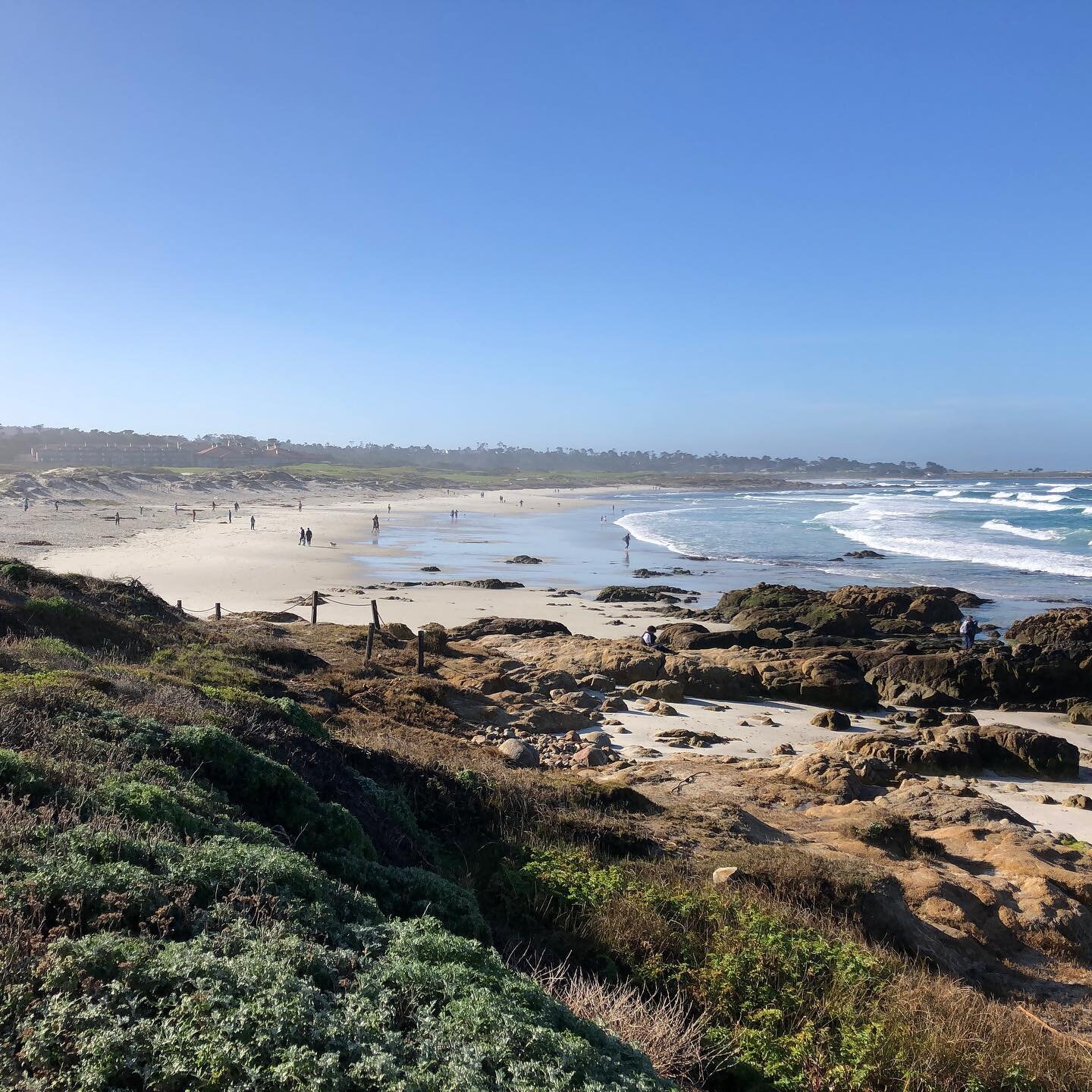 Asilomar Beach. Truly magnificent trail through tide pools and sand dunes.