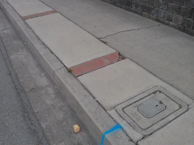 IMAG1085.jpg