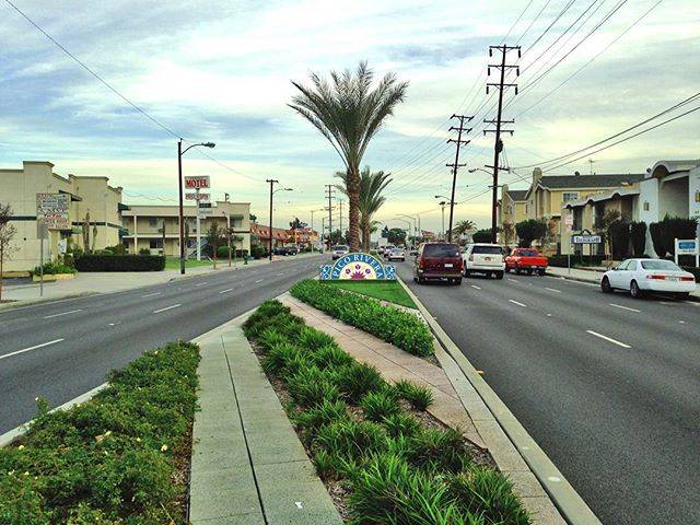 Back in 2012, OE led the construction effort in the City of Pico Rivera to renovate over 46,000 square feet of Rosemead Boulevard. This three-month long project included upgrades to the asphalt, sidewalks and driveway approaches, as well as full renovations to the median islands. #throwbackthursday #rosemeadblvdproject #telegraphmedian