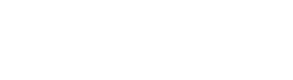 Aurora-Networks-Logo.png
