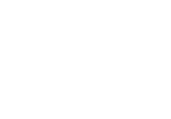 CastoIronSystems.png
