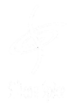 siliconSpice.png