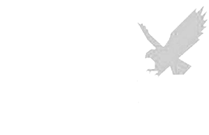 Silver Tail logo.png