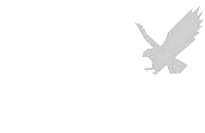Silver Tail logo.png
